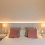 Oceansuiteslangre 갈리자노