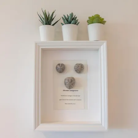 Oceansuiteslangre * 갈리자노