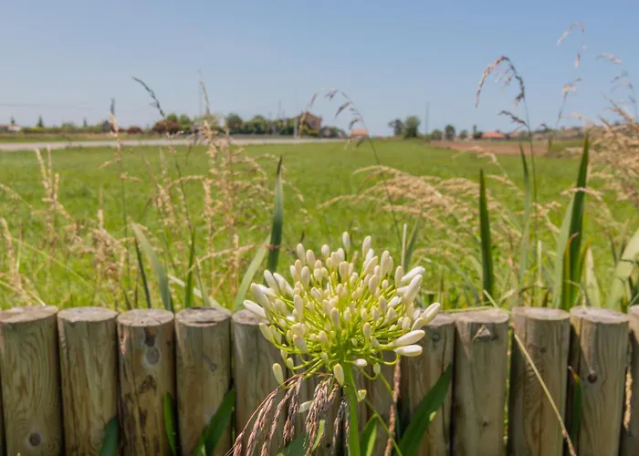 Oceansuiteslangre Appartement Galizano