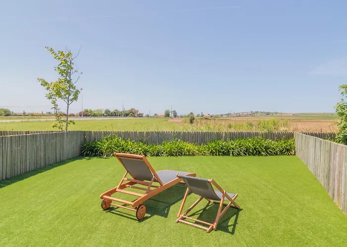 Oceansuiteslangre Galizano