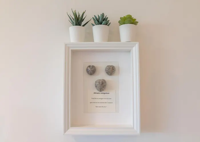 Oceansuiteslangre * Galizano