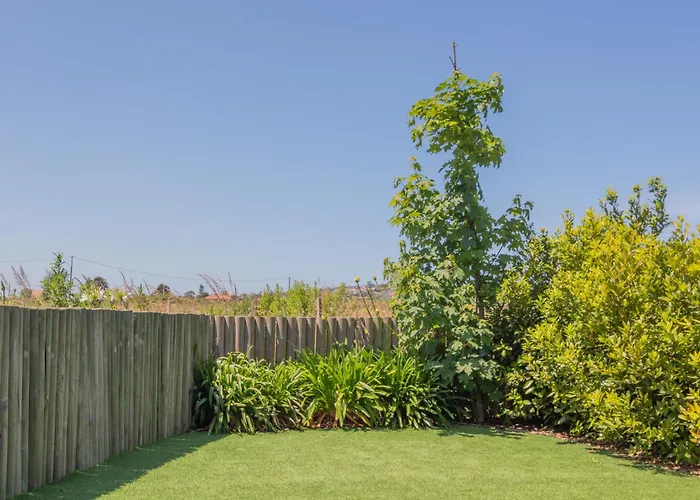 Oceansuiteslangre Galizano