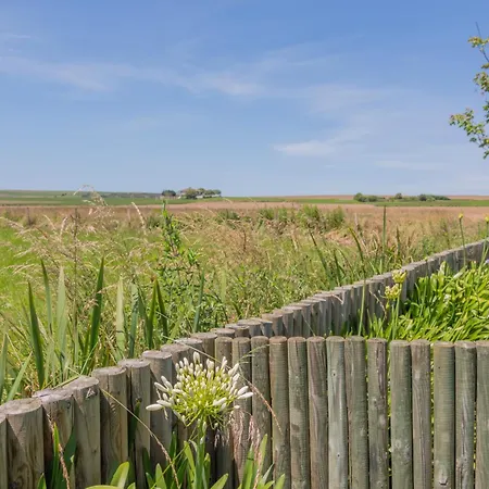 Oceansuiteslangre * Galizano