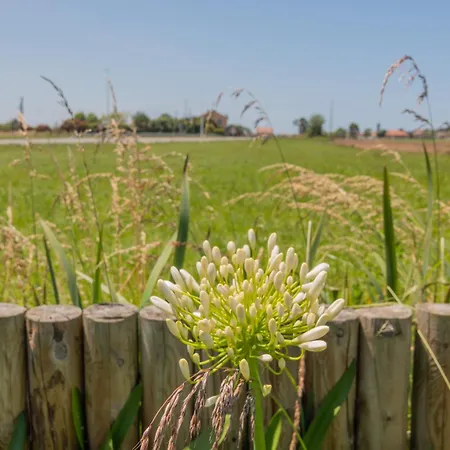 Oceansuiteslangre Apartman Galizano