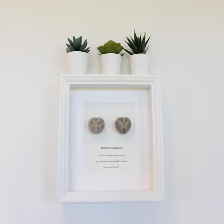 Oceansuiteslangre Apartman