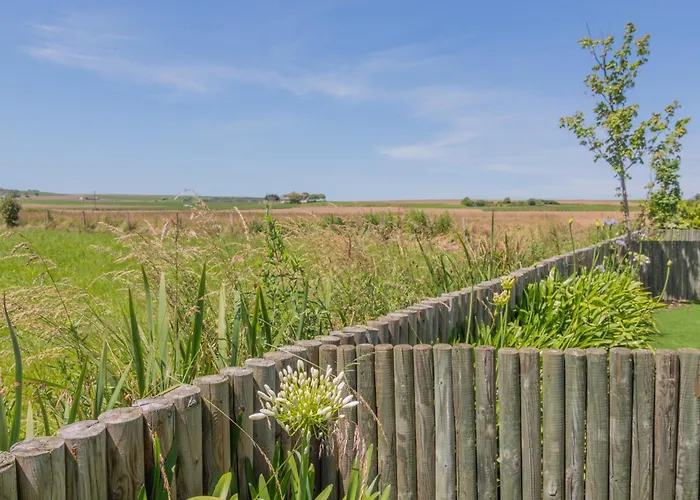 Oceansuiteslangre * Galizano