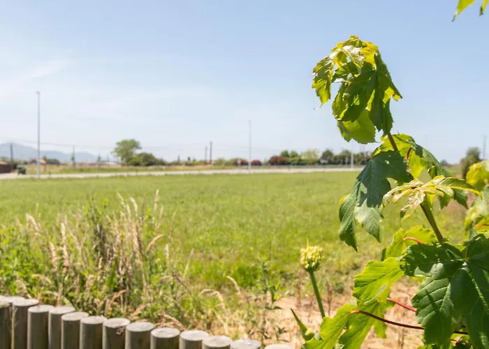 Lägenhet Oceansuiteslangre